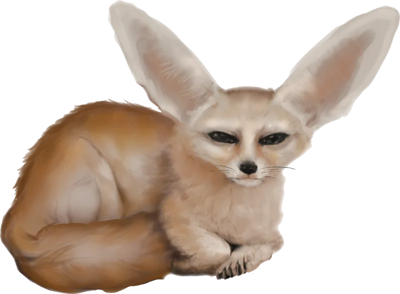 Zorro fenec